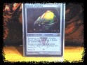 United States - Wizardz - Magic - No - Rara Foil - Shield of kaldra - 1